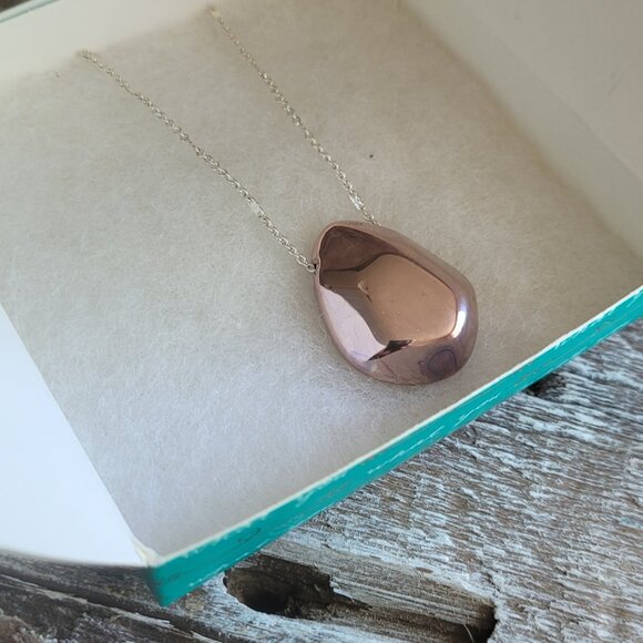 Stella and Dot 32" Two-toned Pendant Necklace - Picture 4 of 6